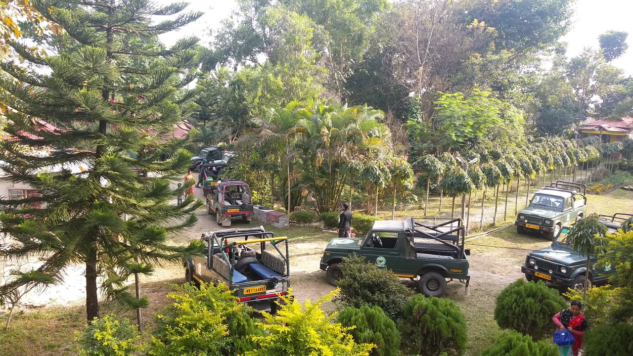 About Greenlark Eco Resort
