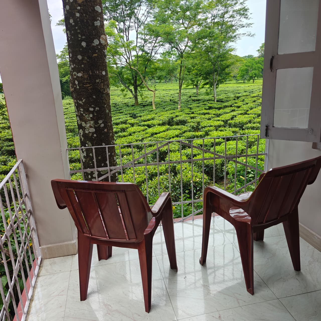 Resort view