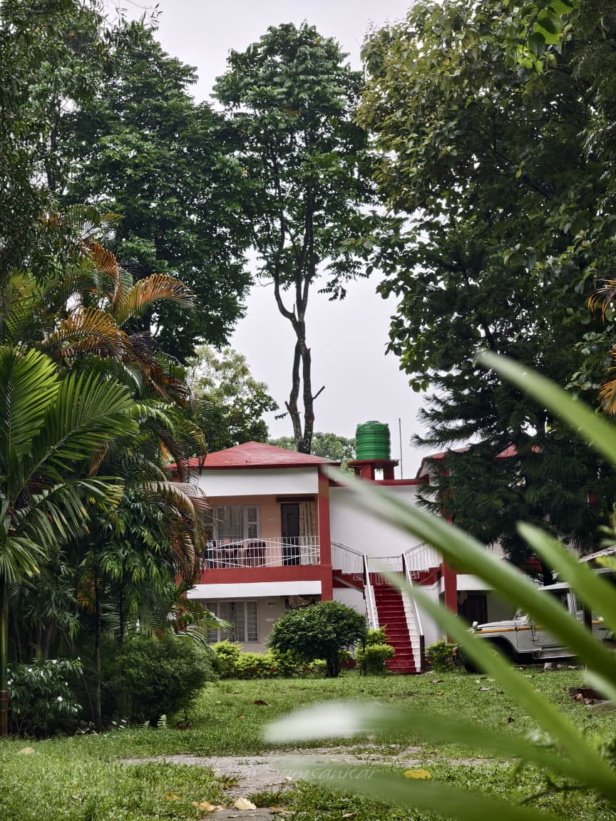 Tea garden